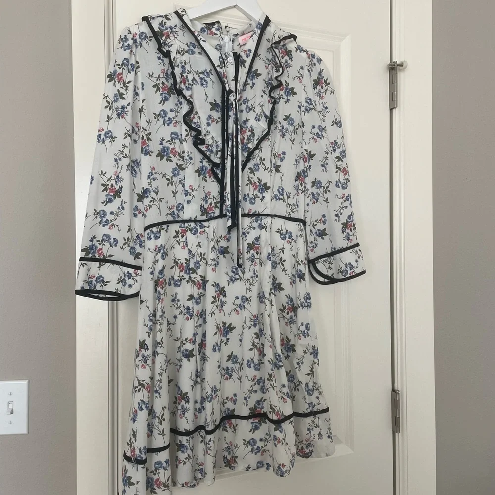 Dress - Picture 4 of 4